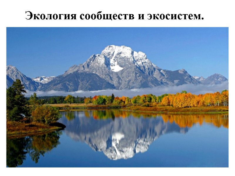 Экология сообществ и экосистем.